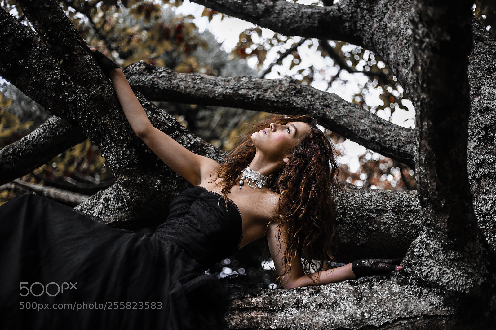 Canon EOS 6D sample photo. Forest heart photography