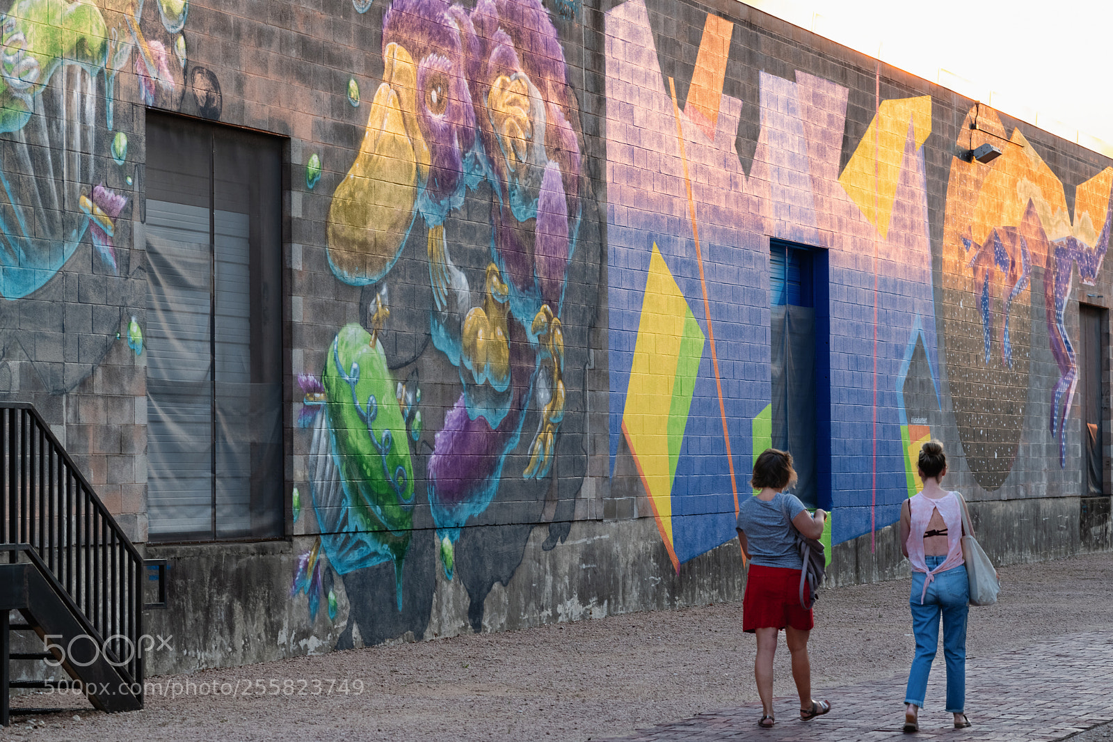 Nikon D850 sample photo. Sawyer street art show photography