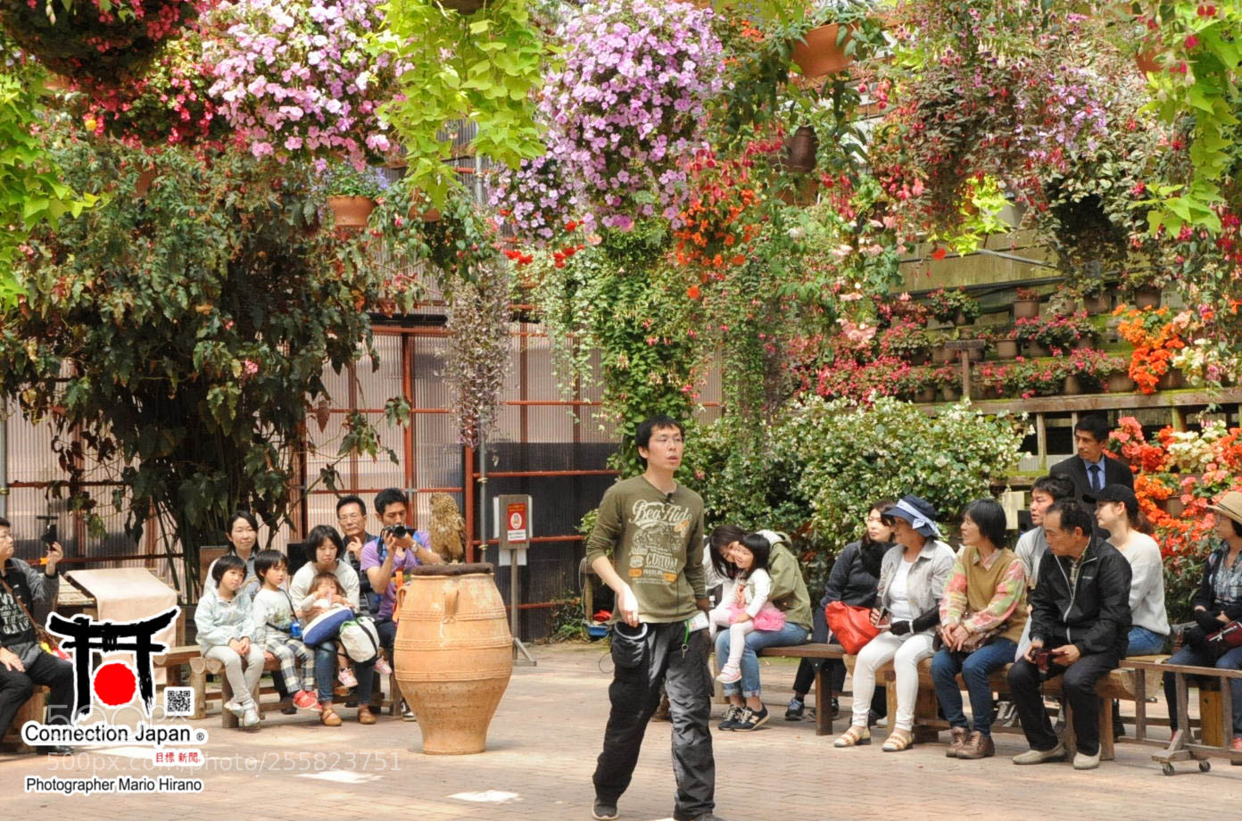 Nikon D700 sample photo. Sakura photography