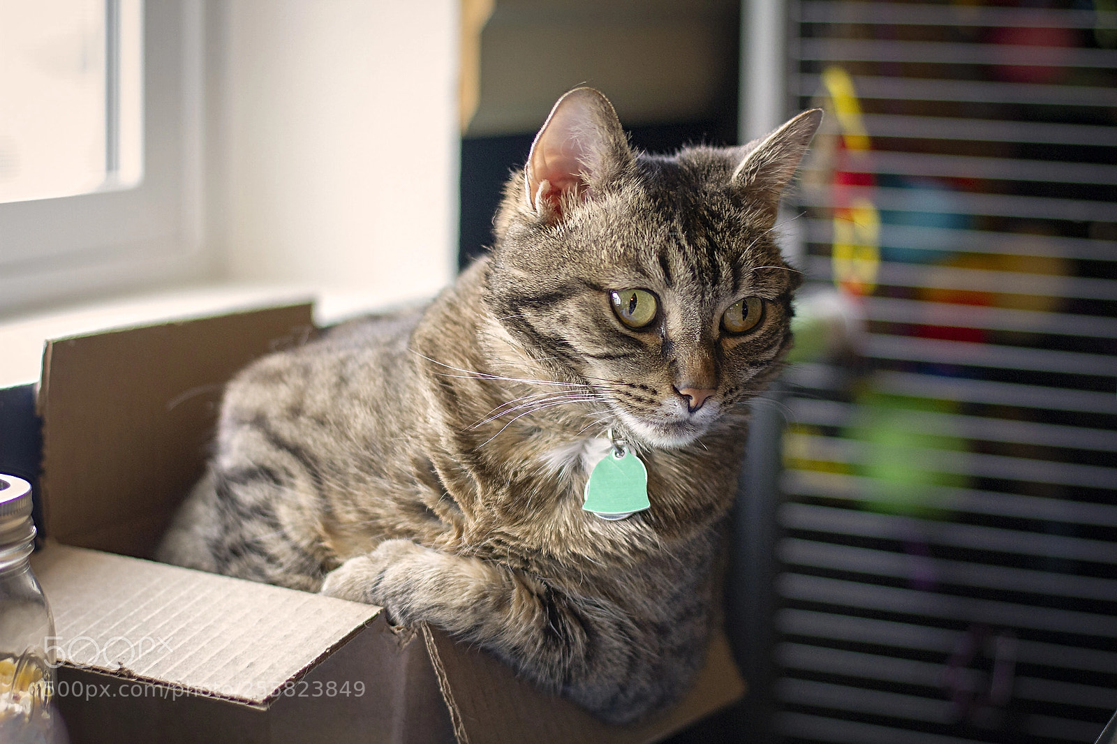 Canon EOS 7D sample photo. I don't always sit photography
