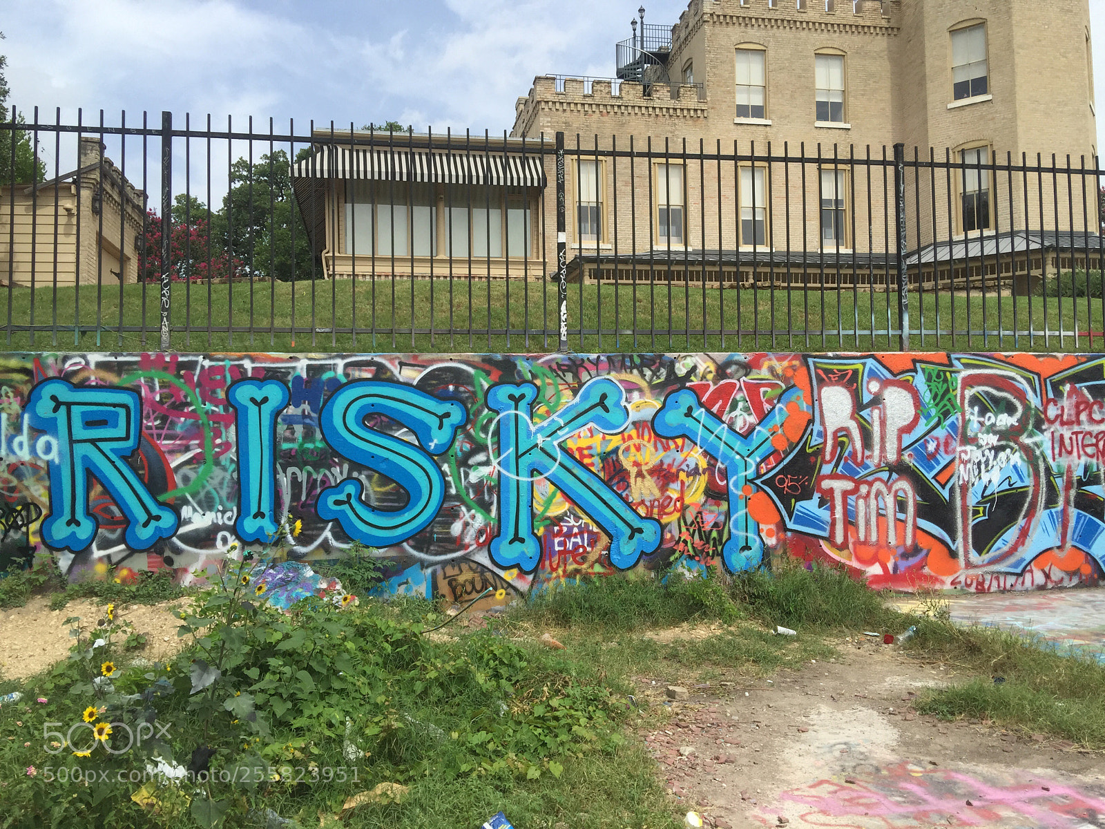 Apple iPhone 6 Plus sample photo. Art in austin  photography