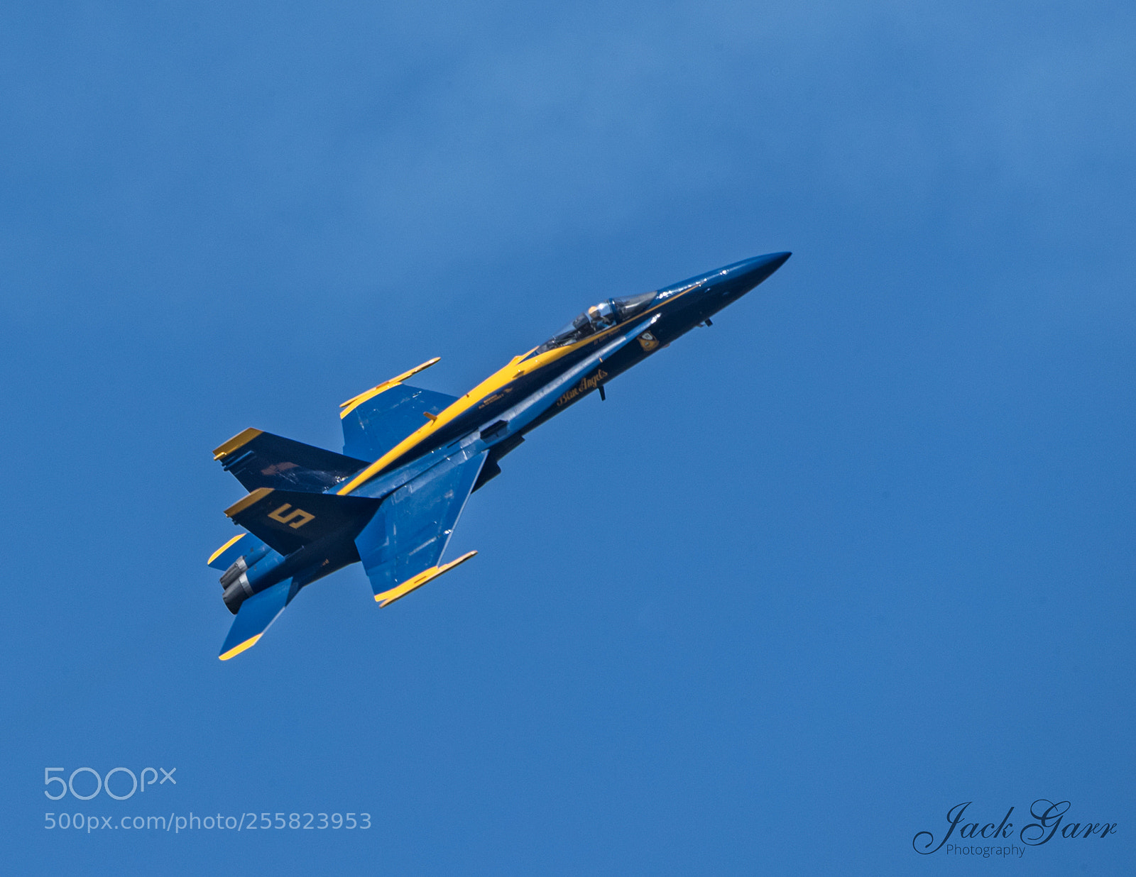 Canon EOS-1D X Mark II sample photo. Blue angel 5 photography