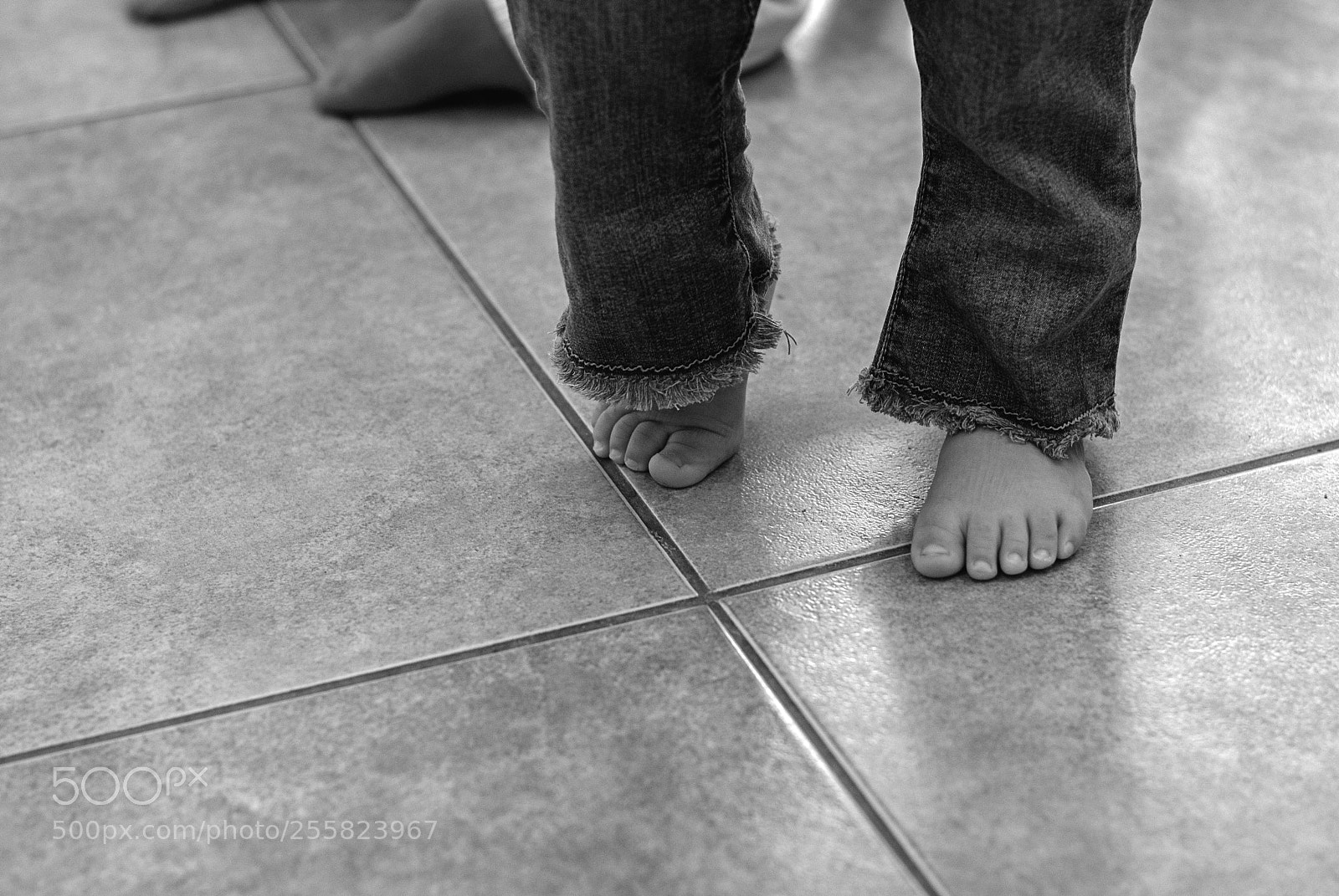 Nikon D3000 sample photo. Steps photography