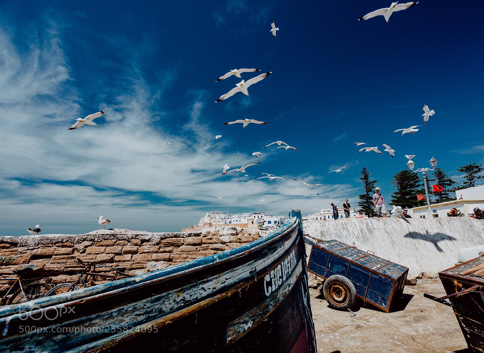 Canon EOS 5D Mark II sample photo. Blue on mogador photography