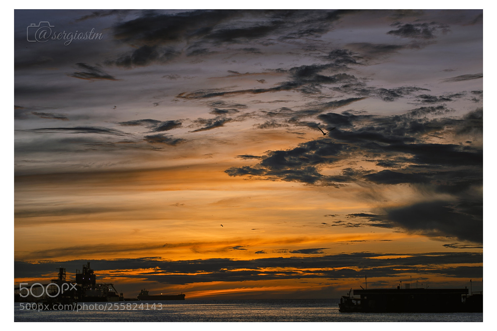 Nikon D610 sample photo. Amazon sunset photography
