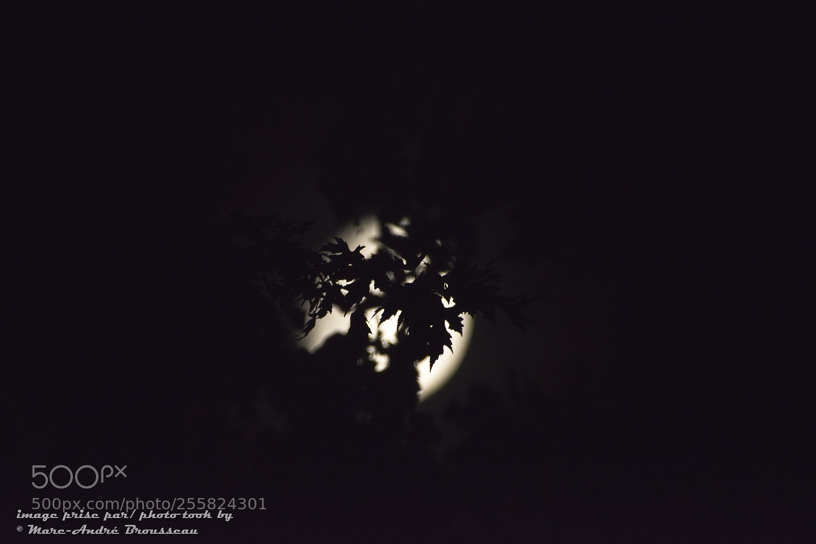Nikon D7200 sample photo. La nuit the night photography