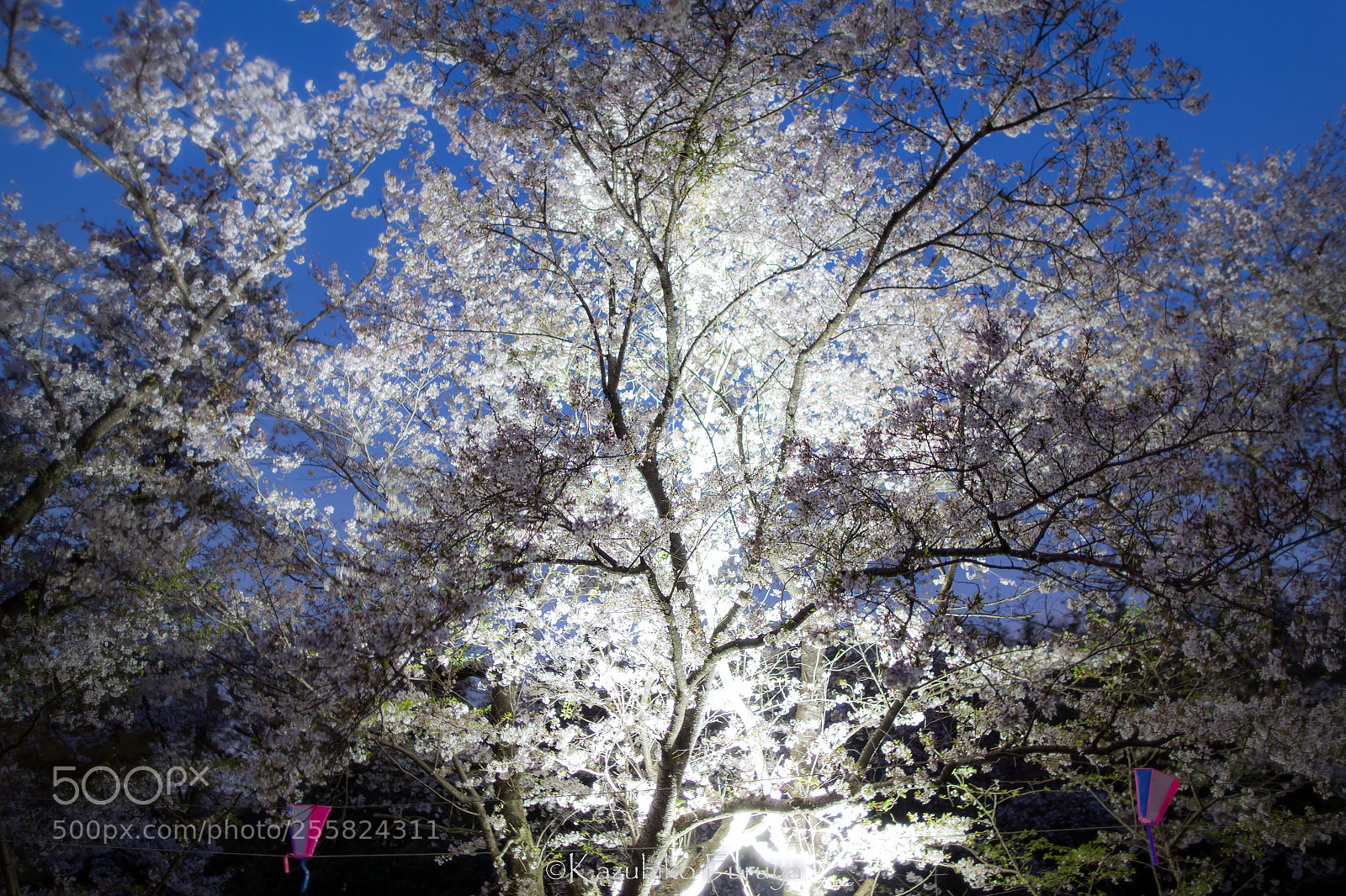 Canon EOS 6D sample photo. White fire photography