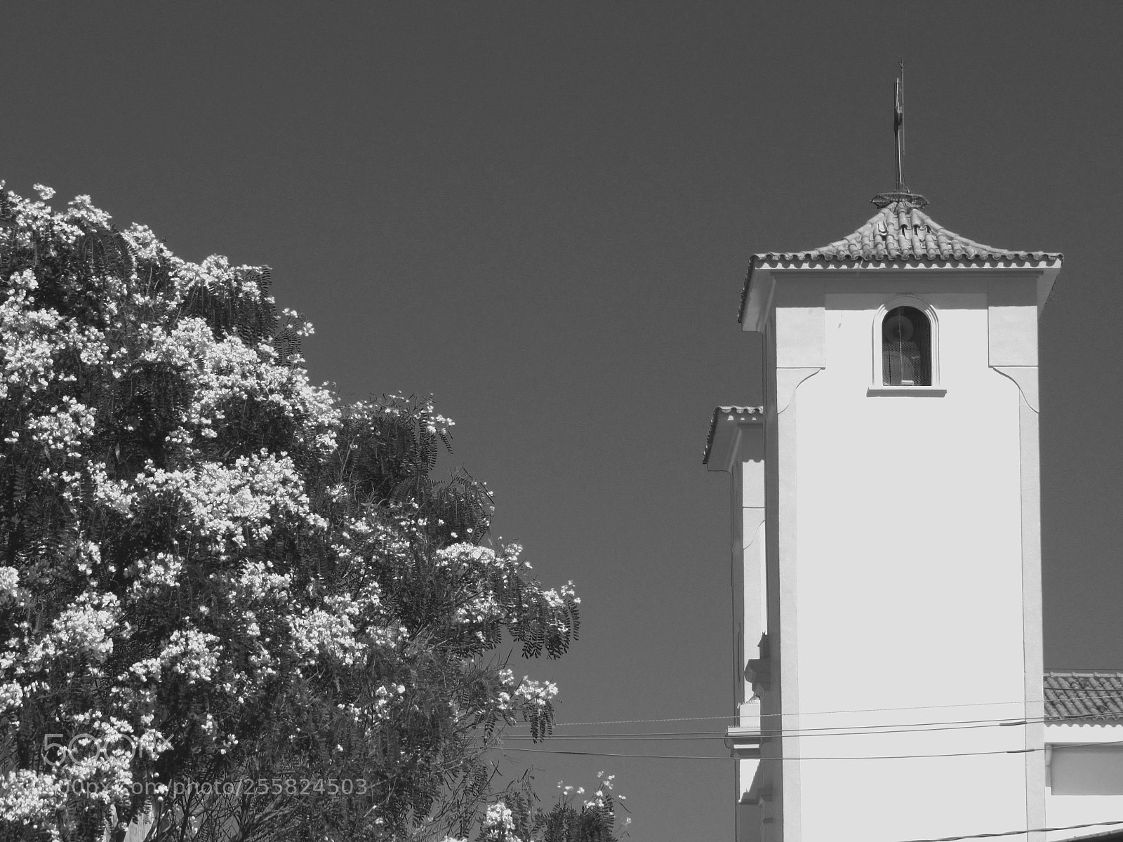 Canon PowerShot SX530 HS sample photo. Yellow tower photography