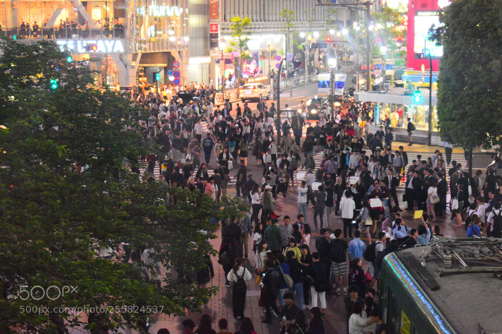 Nikon D5600 sample photo. Crowded city  photography