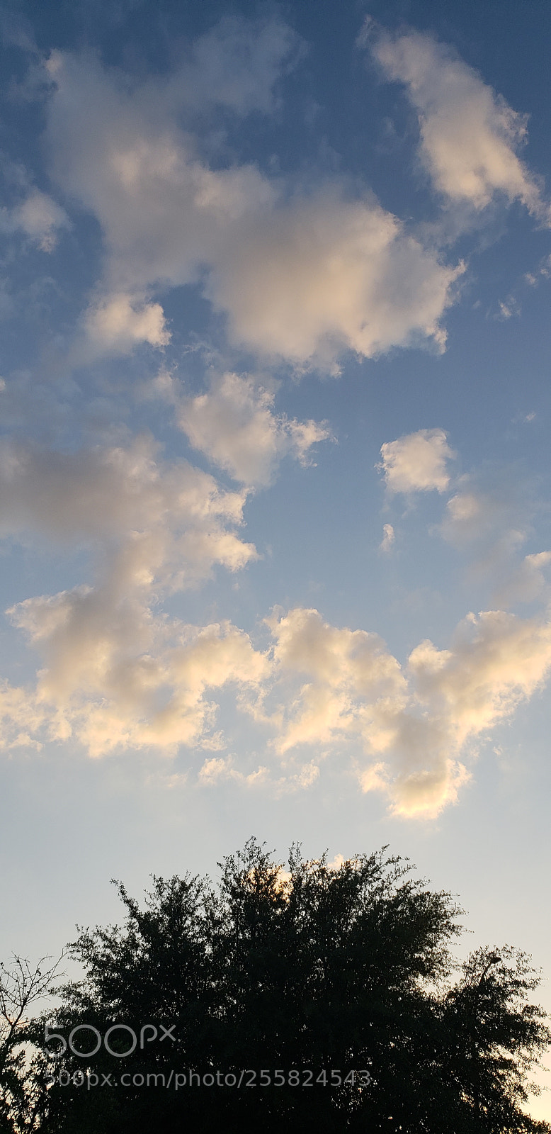 Samsung Galaxy S9 sample photo. Untitled photography