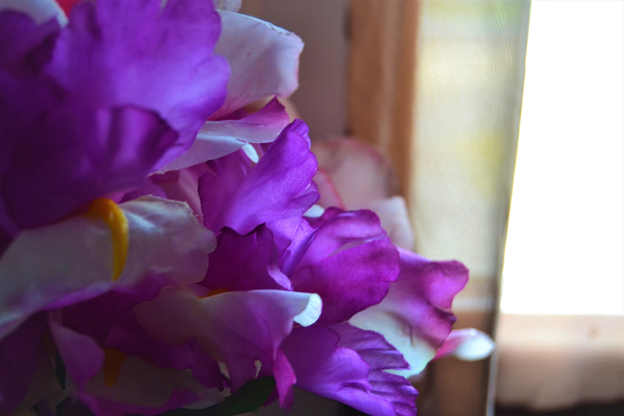 Nikon D3100 sample photo