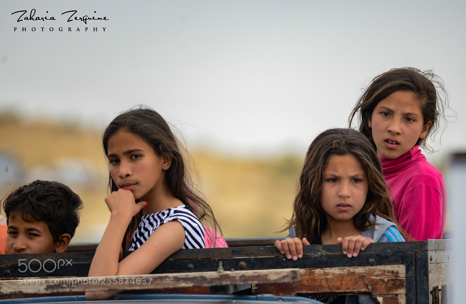 Nikon D800E sample photo. Untitled photography