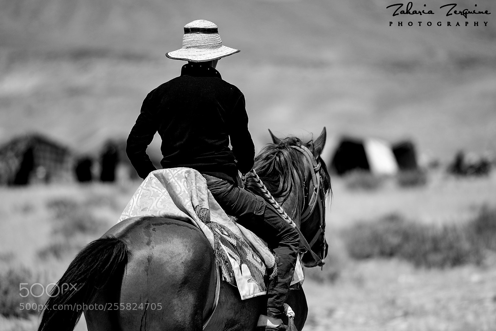Nikon D800E sample photo. Untitled photography
