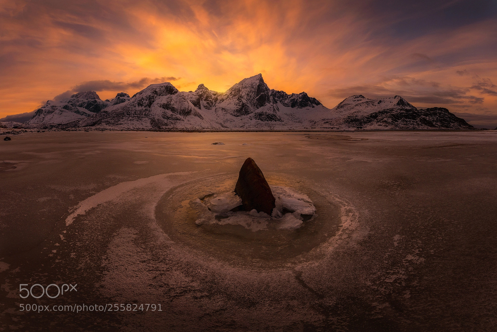 Nikon D850 sample photo. Shark fin photography