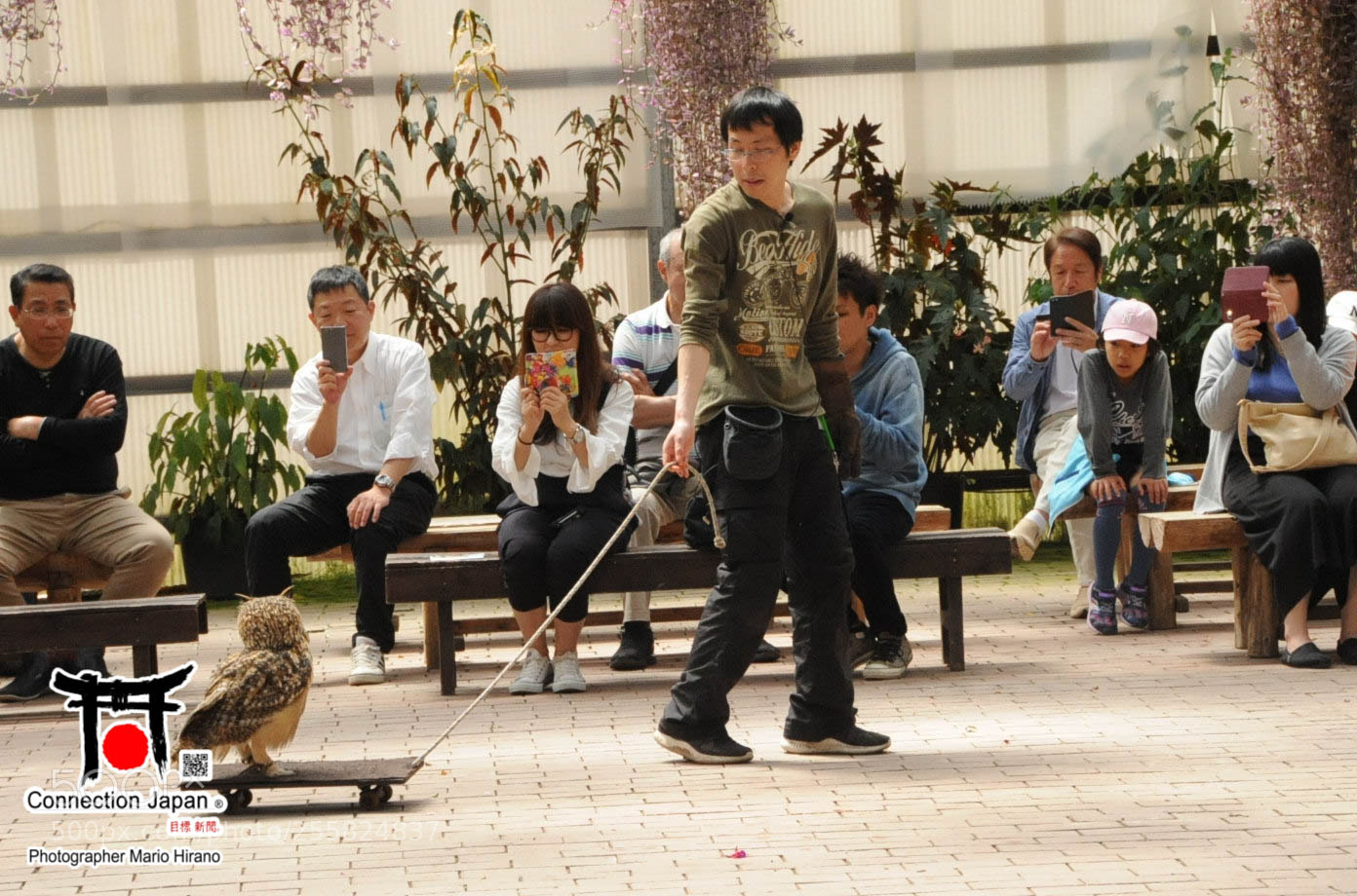 Nikon D700 sample photo. Sakura photography