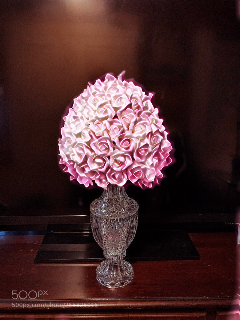 Apple iPhone X sample photo. Untitled photography