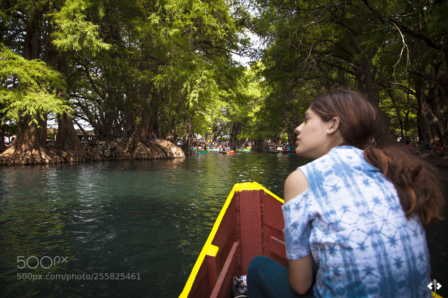 Canon EOS 5D Mark II sample photo. Feel the nature photography