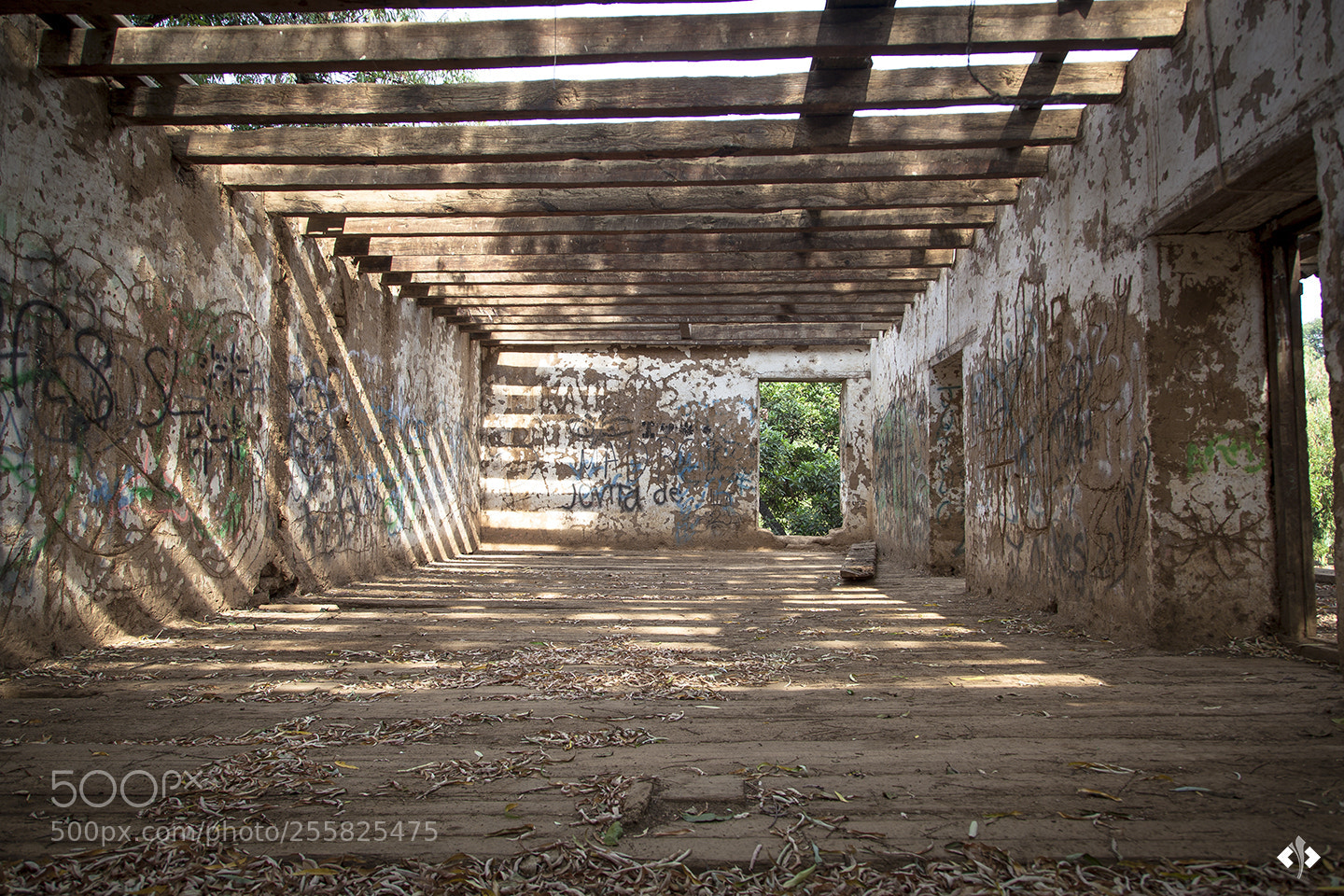 Canon EOS 5D Mark II sample photo. Ruinas photography