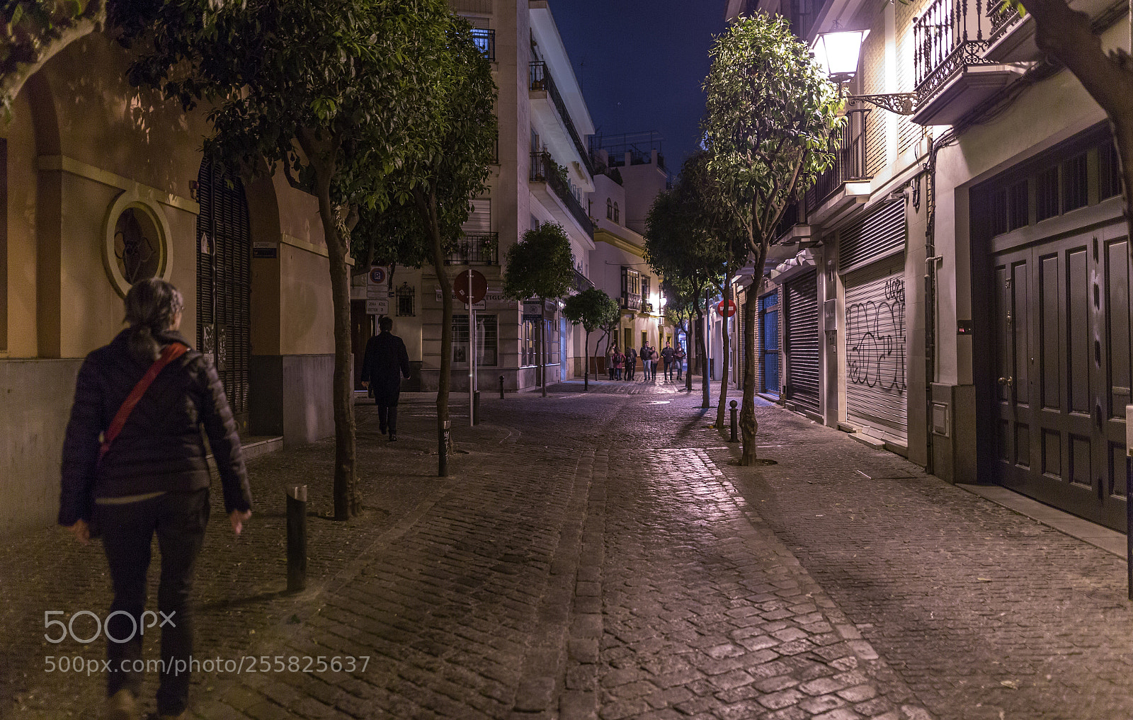 Canon EOS 6D sample photo. Midnight in sevilla photography