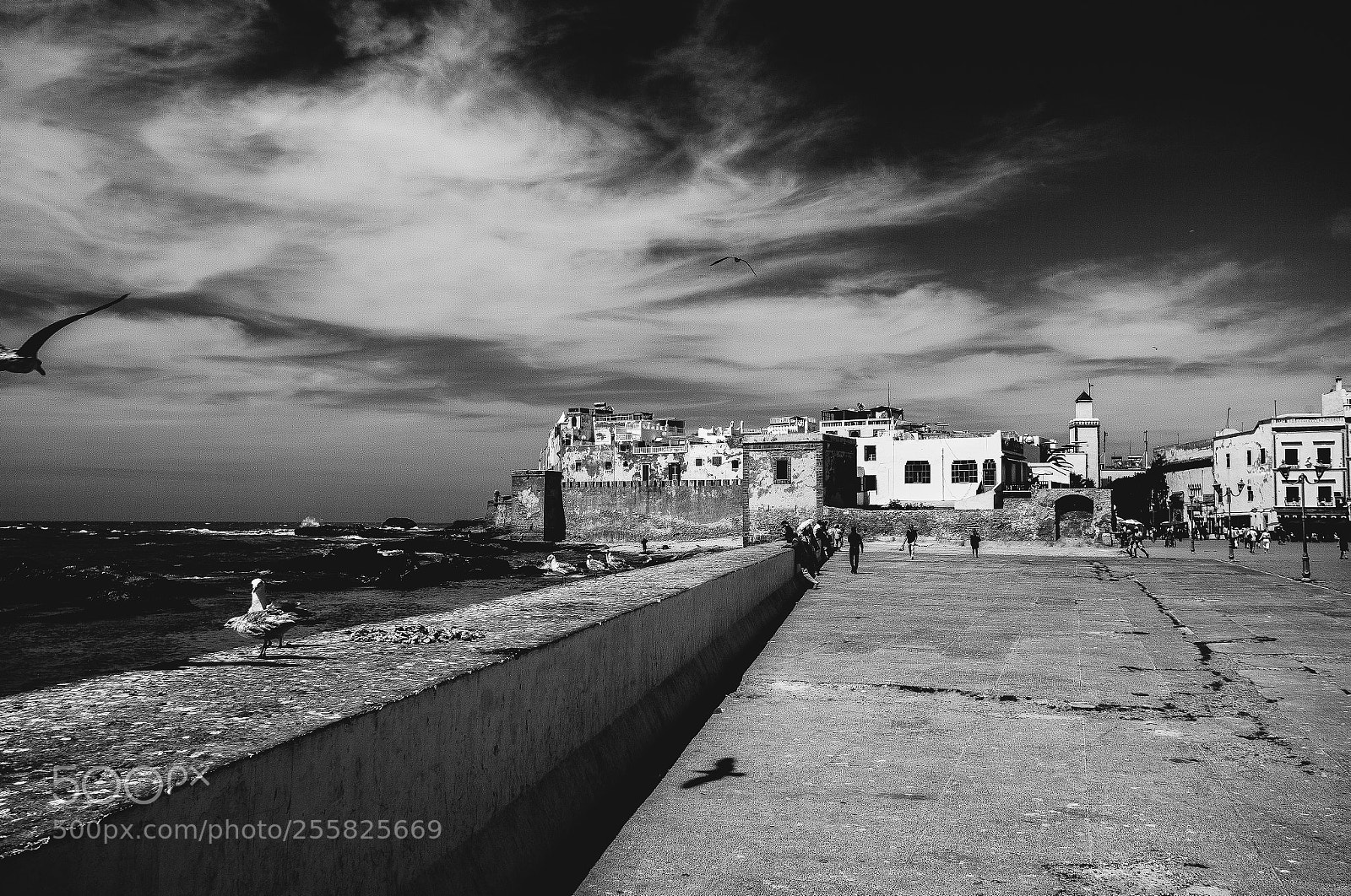 Canon EOS 5D Mark II sample photo. Mogador bw photography