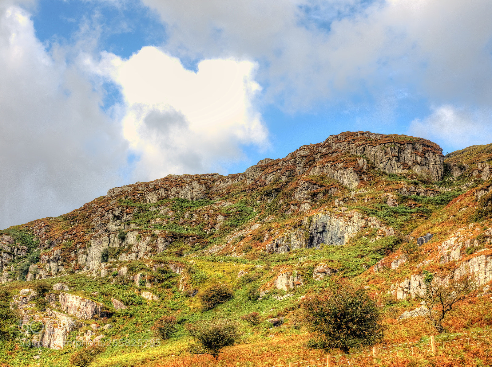 Olympus OM-D E-M1 sample photo. A bright welsh landscape photography