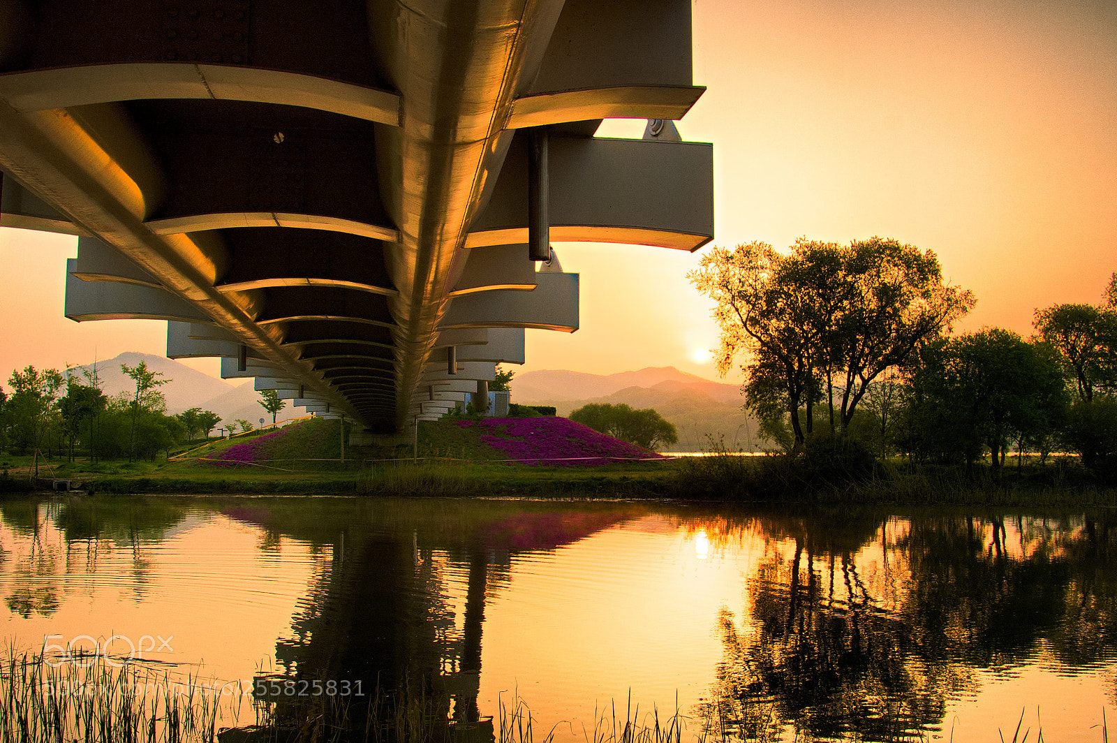 Nikon D500 sample photo. The rise from the photography