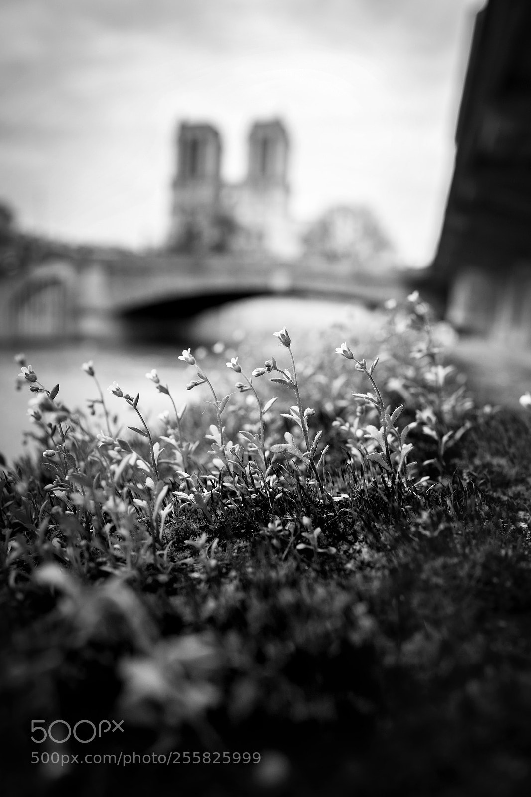 Leica Q (Typ 116) sample photo. Paris photography