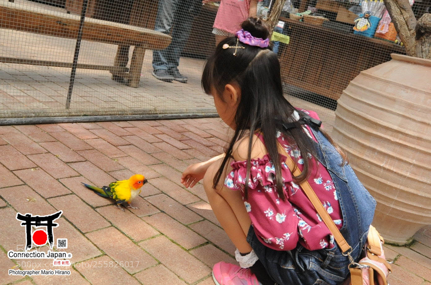 Nikon D700 sample photo. Sakura photography