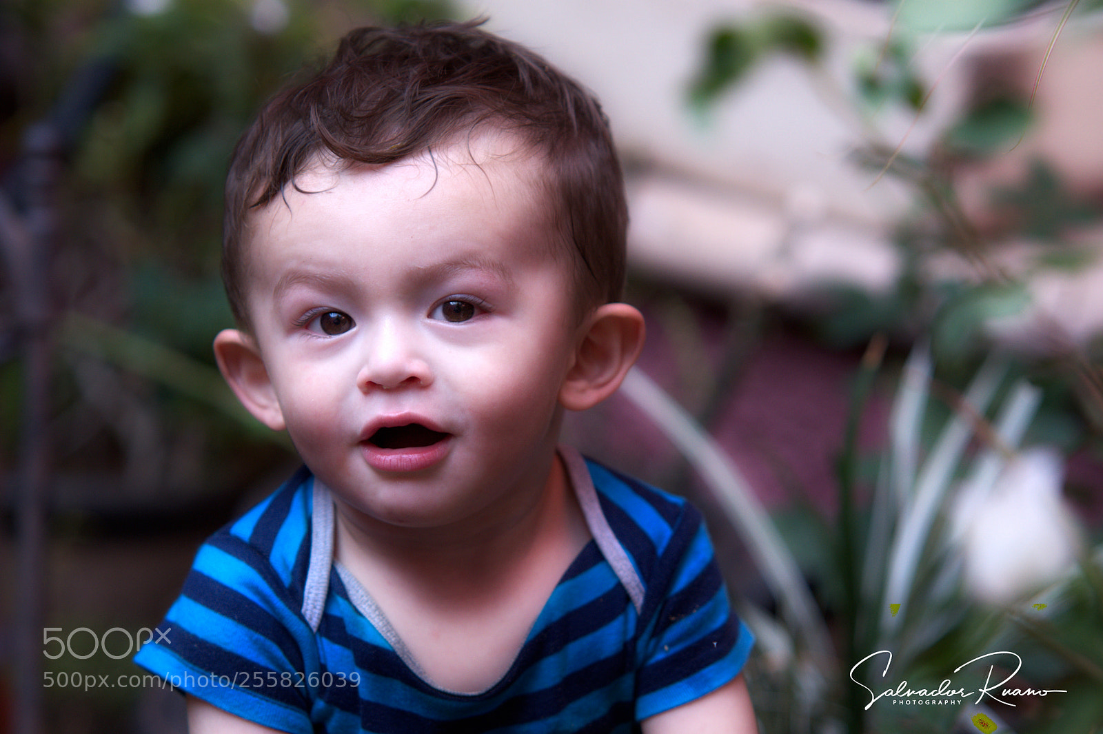 Nikon D7500 sample photo. My grandson photography