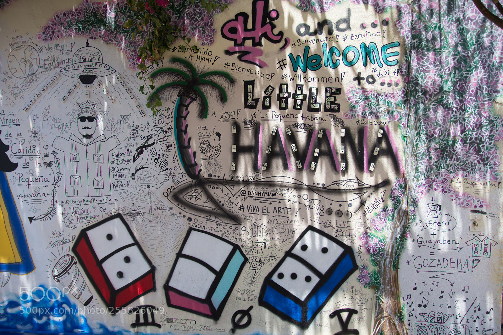 Nikon D7200 sample photo. Miami photography