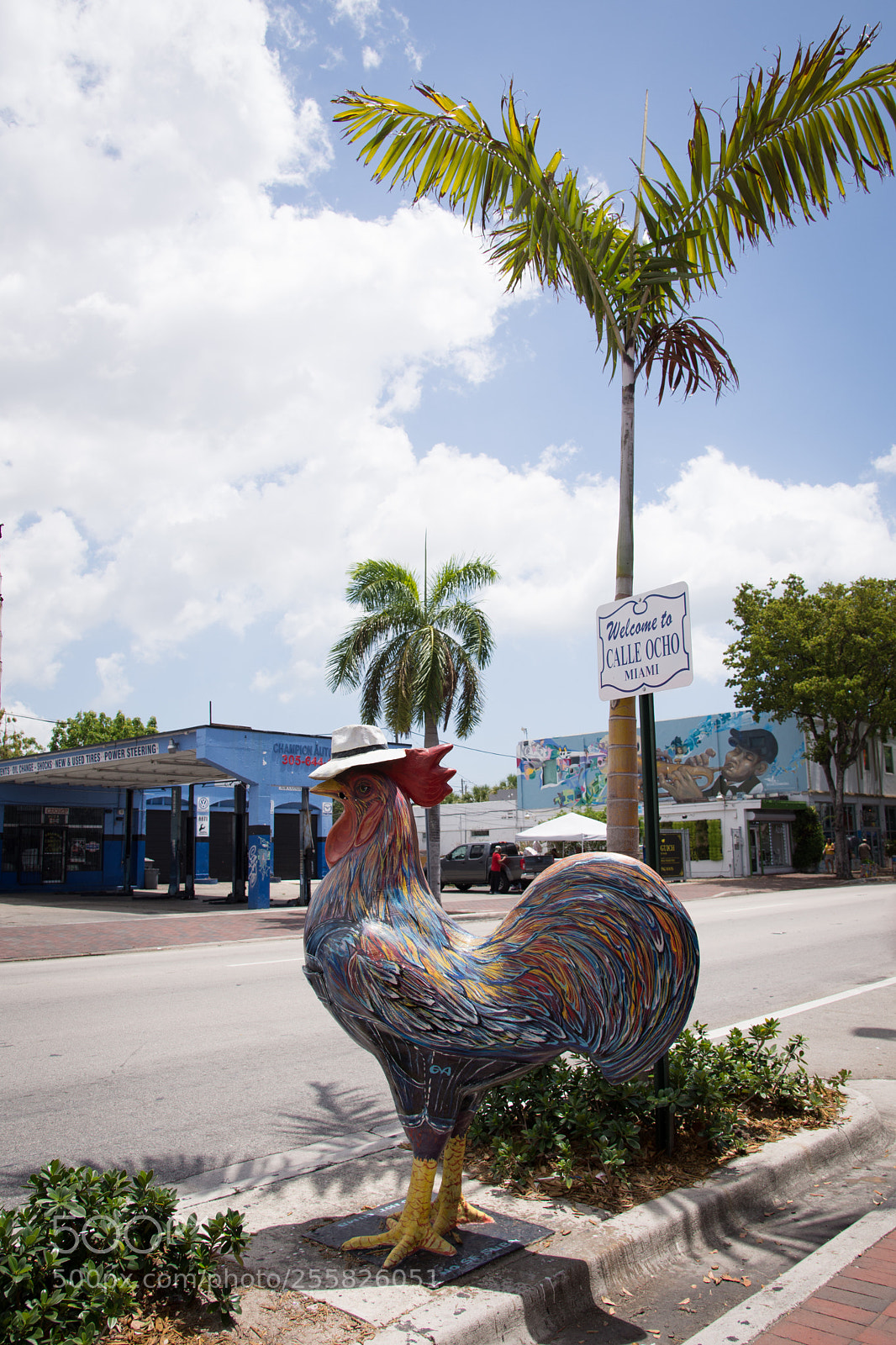 Nikon D7200 sample photo. Miami photography