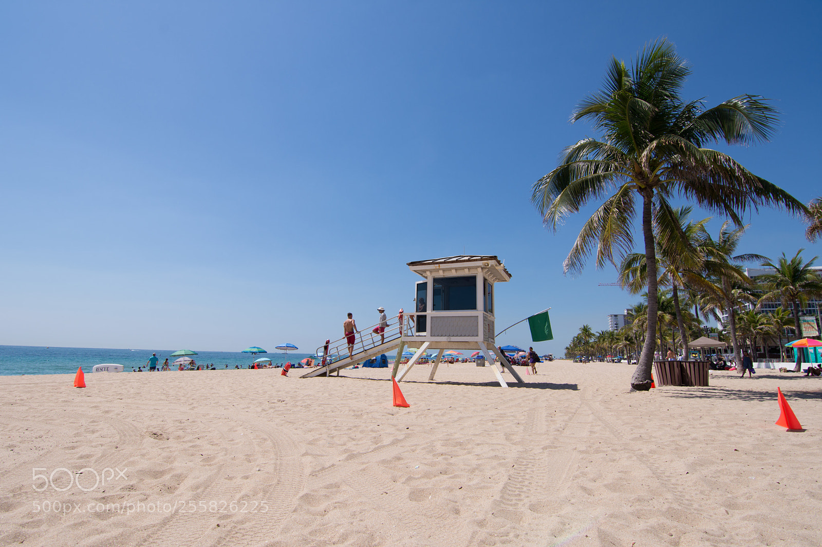 Nikon D7200 sample photo. Miami photography