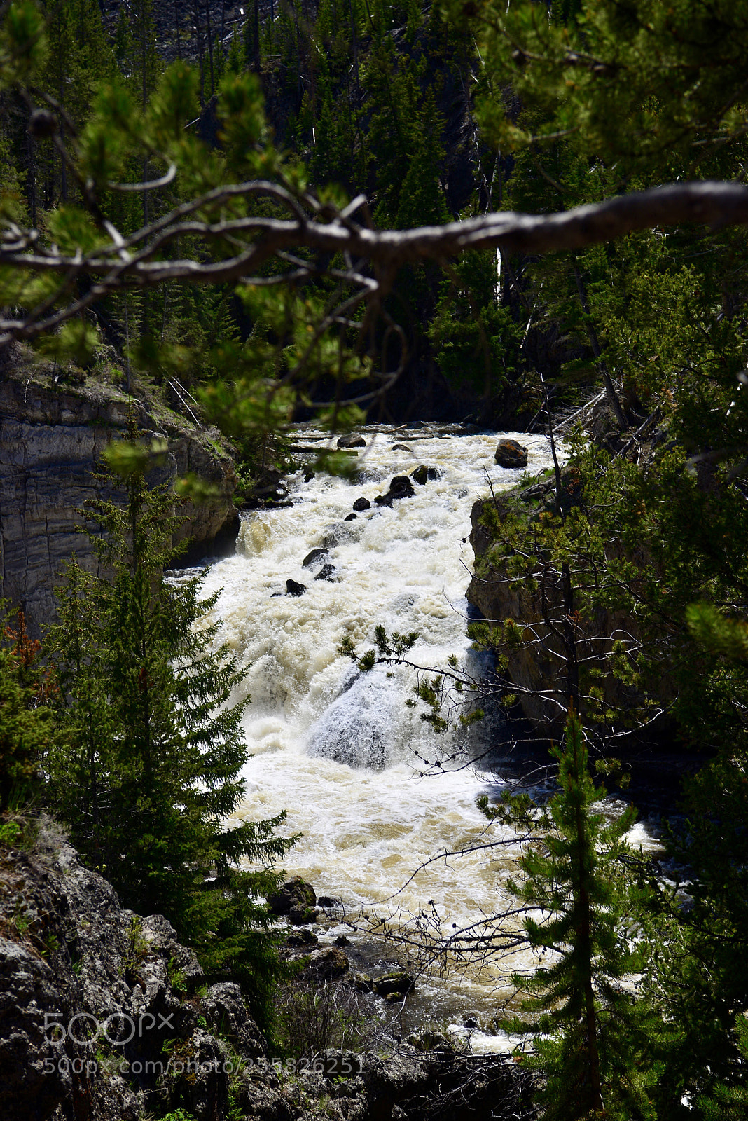 Nikon D600 sample photo. Untitled photography