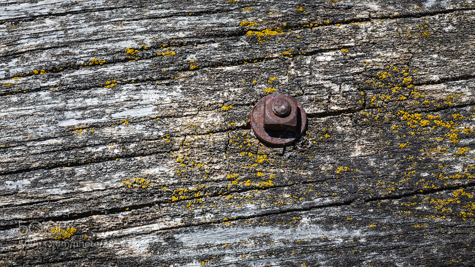 Canon EOS 6D sample photo. A ford in the photography