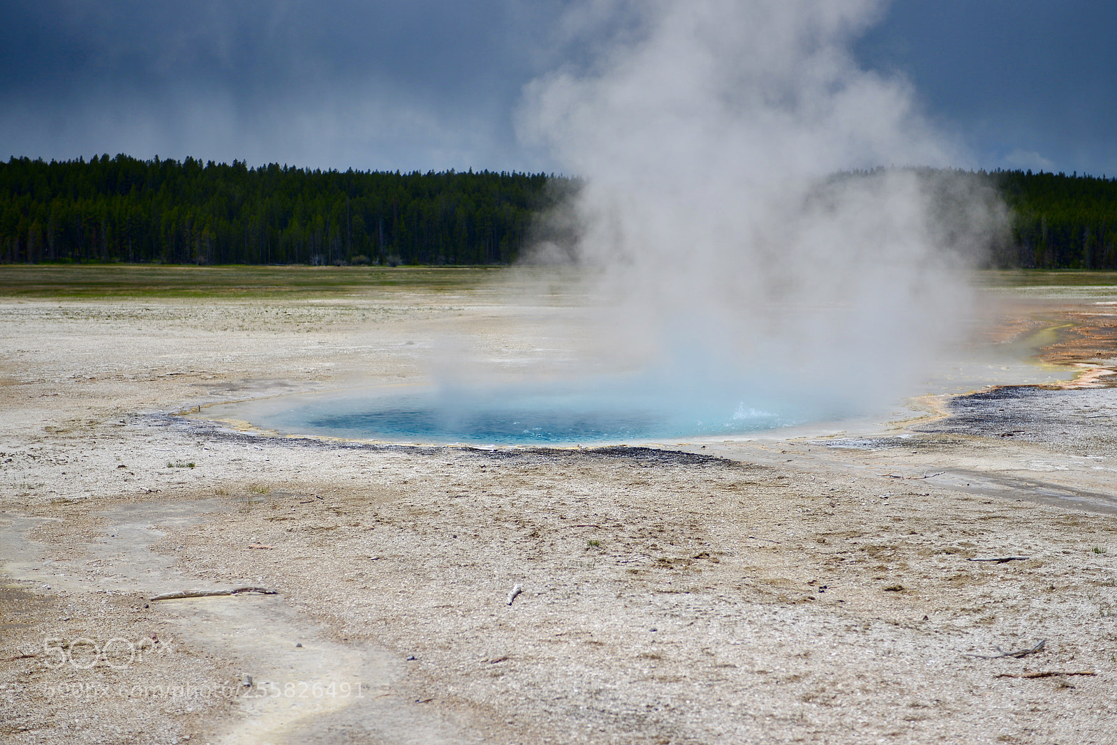 Nikon D600 sample photo. Yellowstone photography