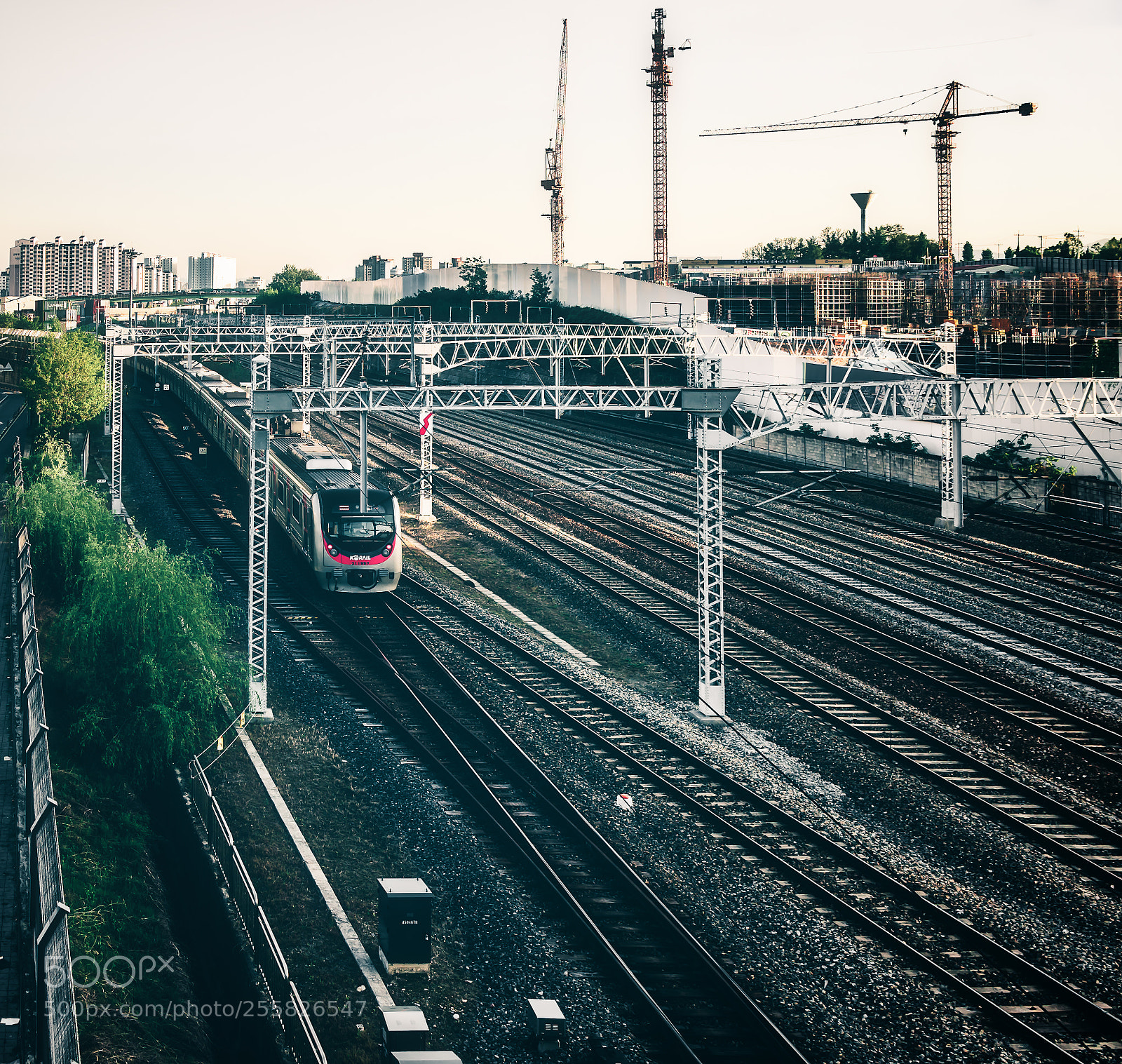 Sony a7R II sample photo. Untitled photography