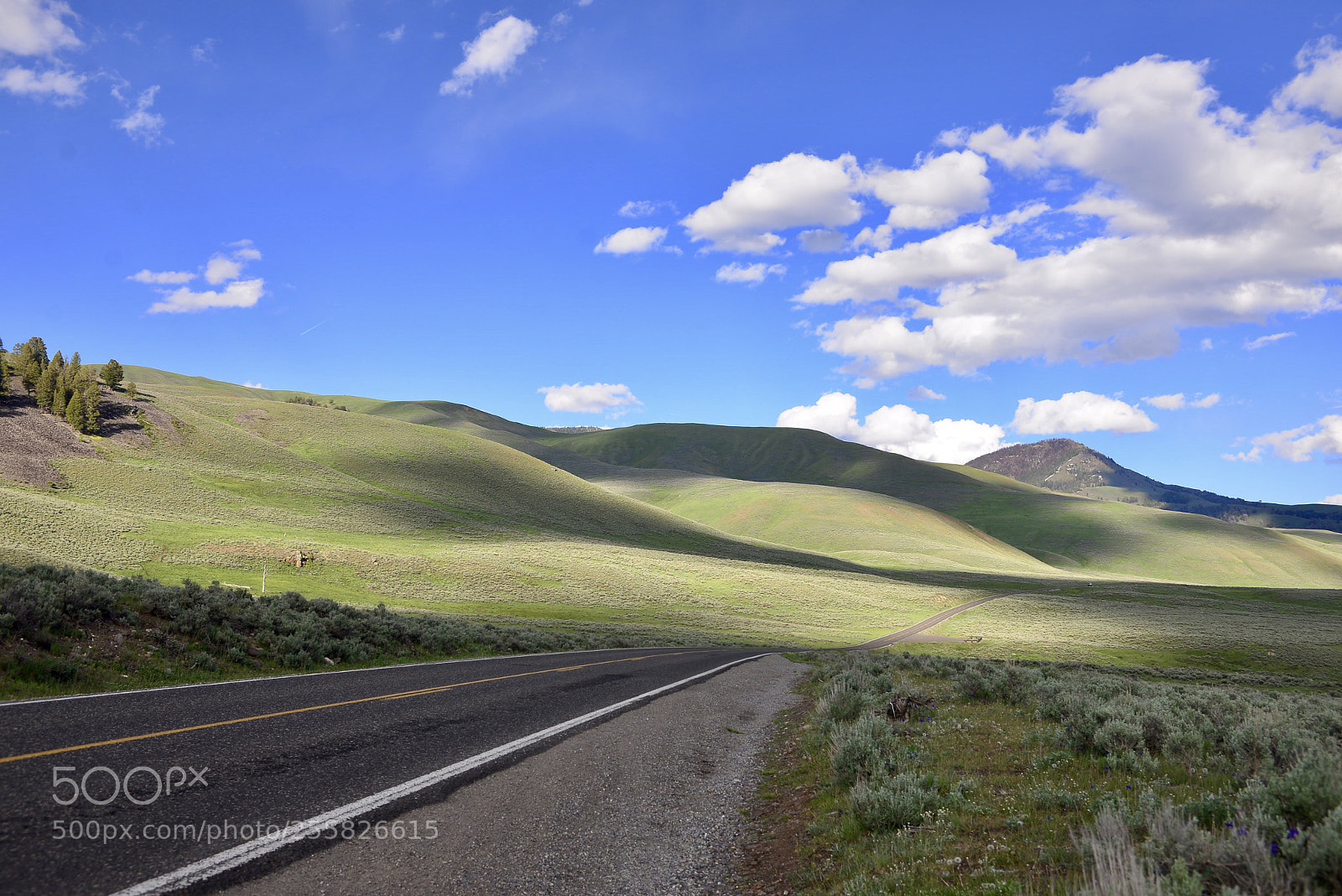 Nikon D600 sample photo. Untitled photography