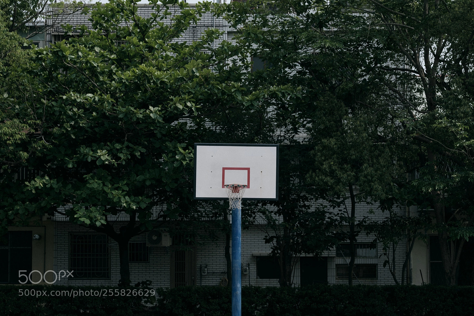 Fujifilm X-Pro2 sample photo. Play one photography