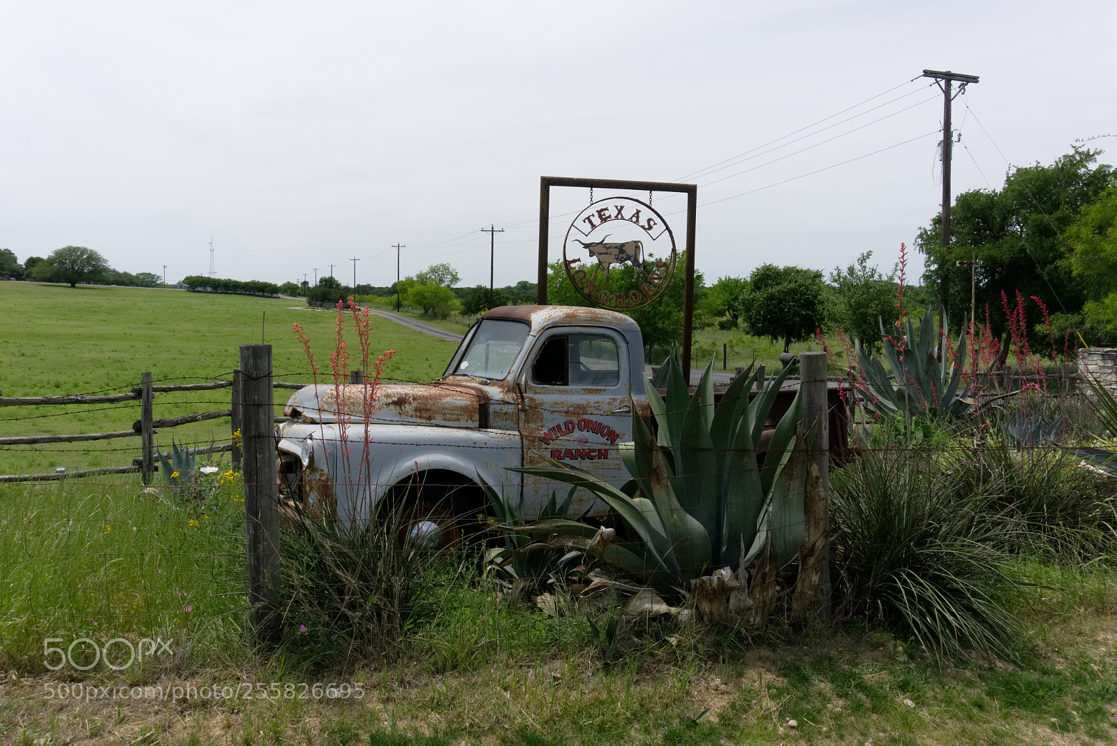 Sony a6000 sample photo. Wild onion ranch photography