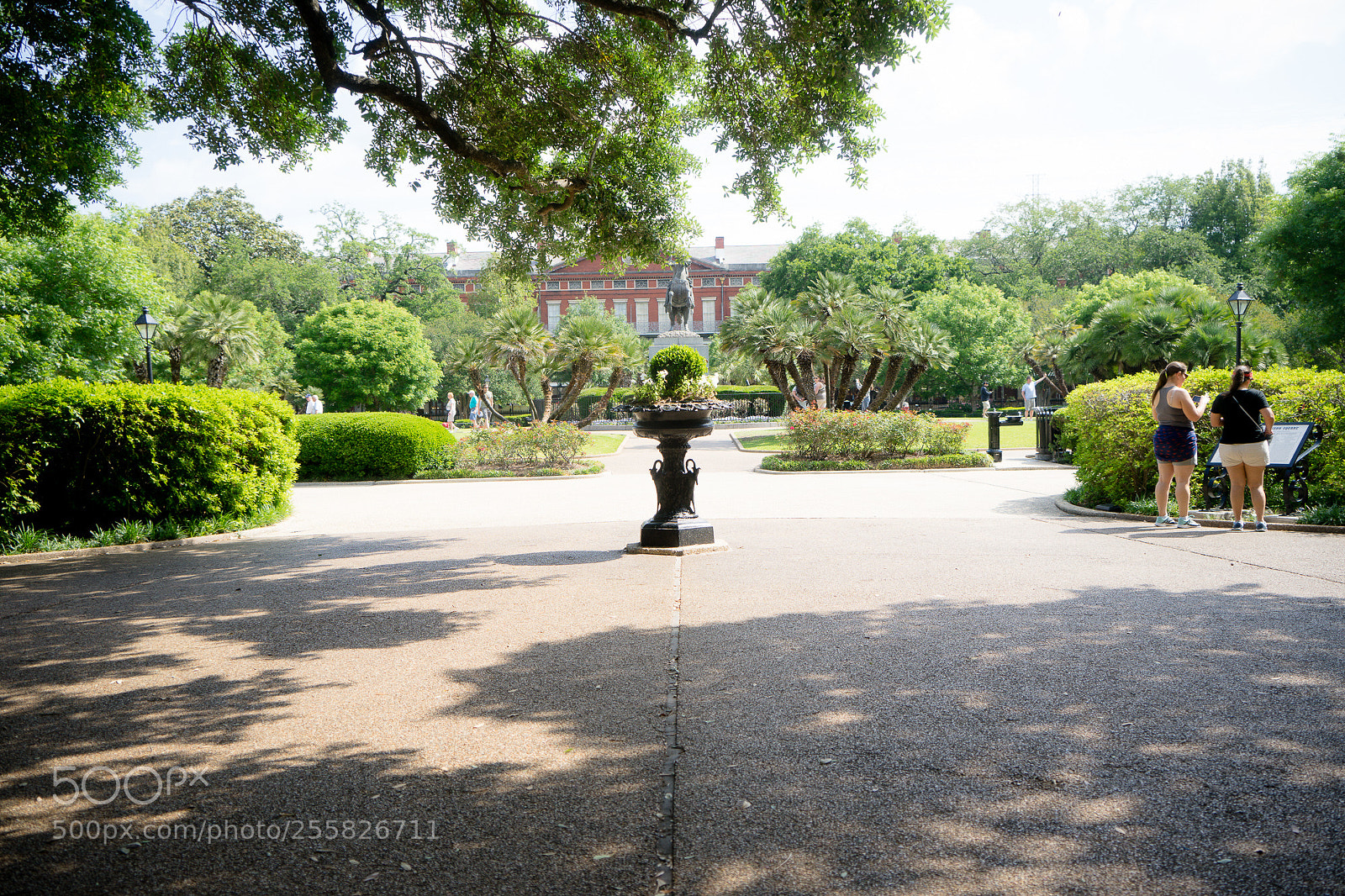 Sony a7 sample photo. A park in the photography