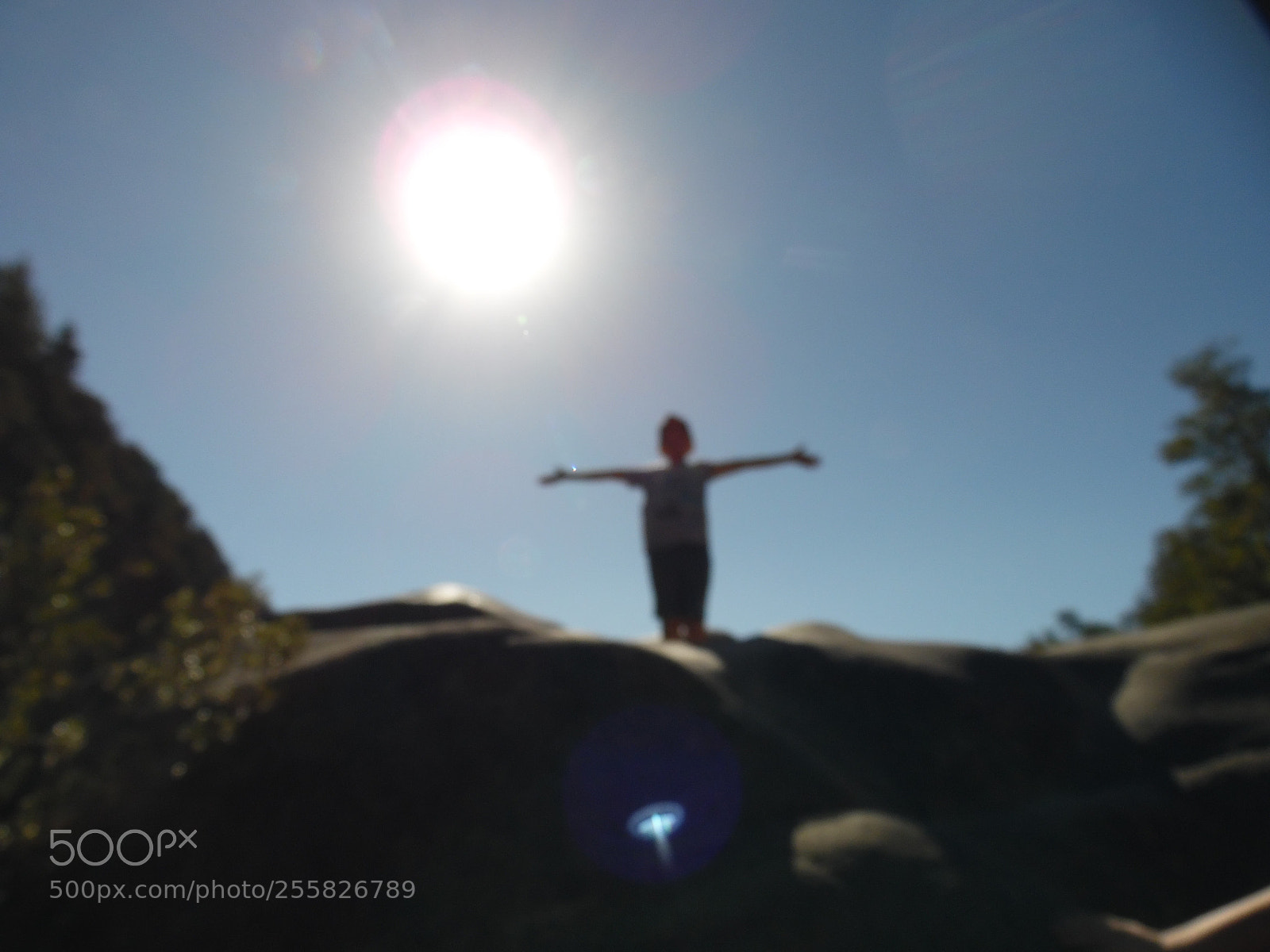 Samsung WB1100F/WB1101F/WB1102F sample photo. Untitled photography