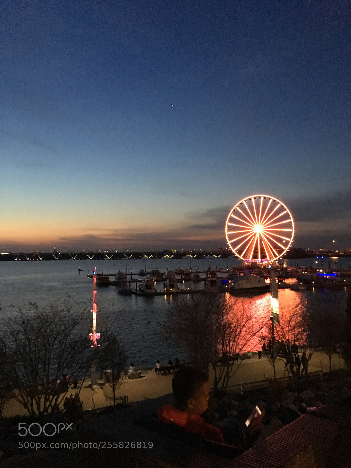 Apple iPhone 6s sample photo. National harbor, maryland photography