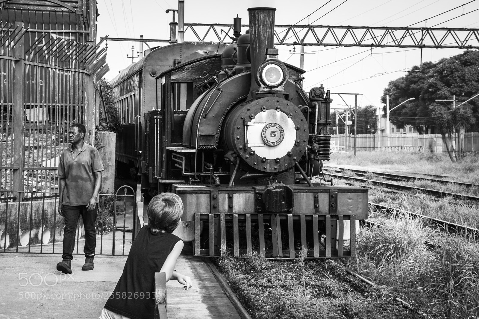 Canon EOS 760D (EOS Rebel T6s / EOS 8000D) sample photo. Look at the train! photography