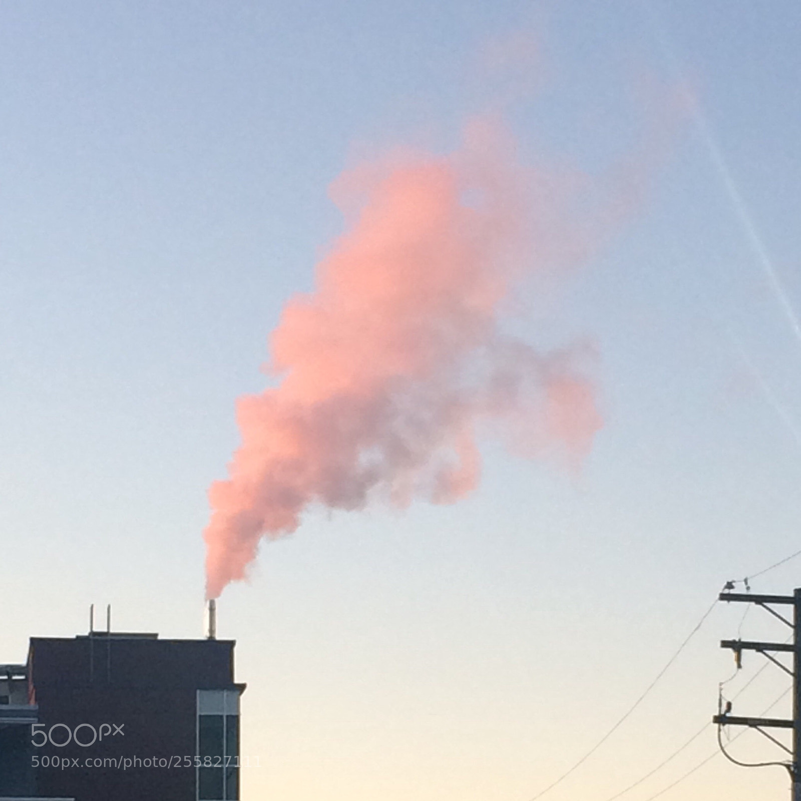 Apple iPhone 5s sample photo. Cotton candy factory  photography