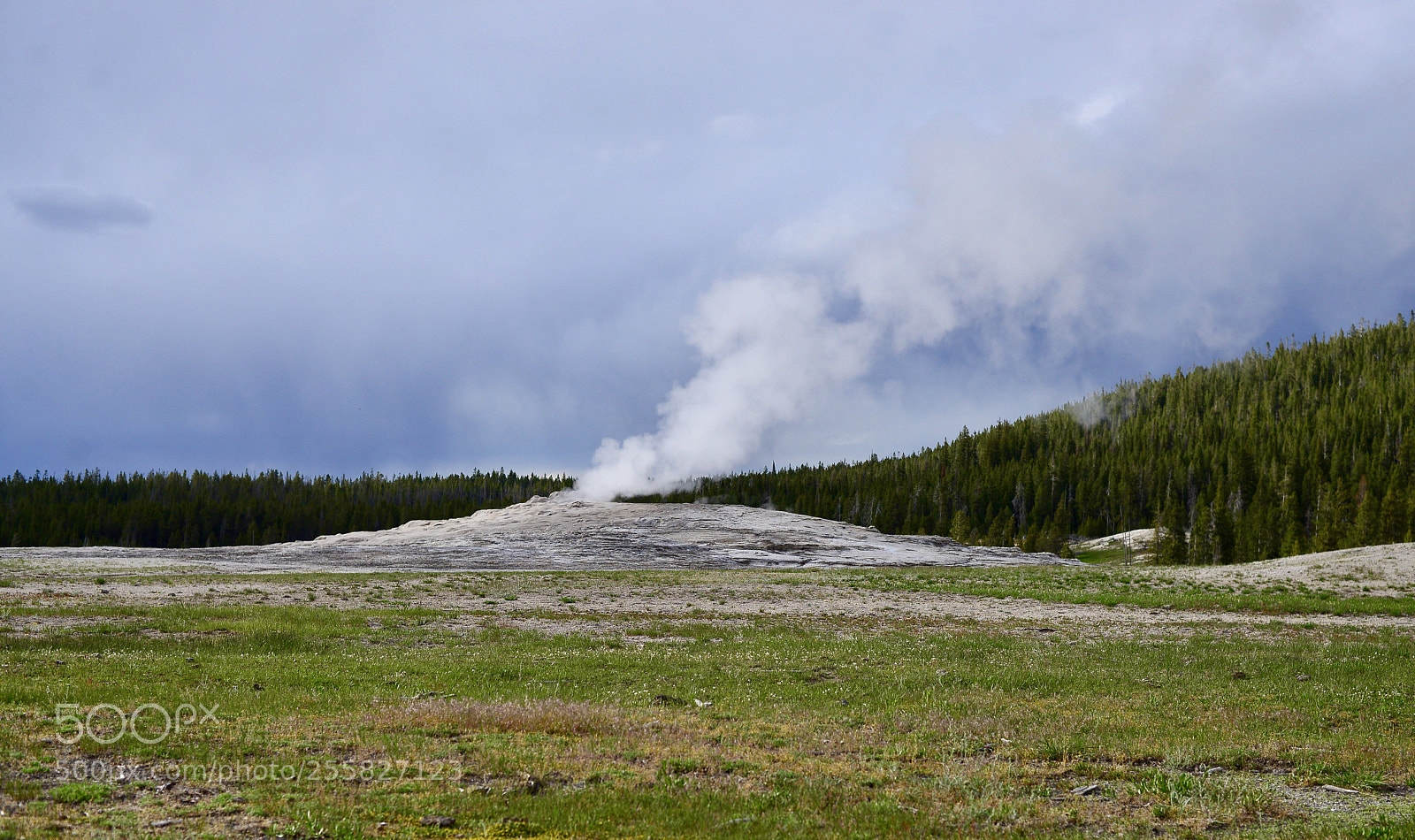 Nikon D600 sample photo. Old faithful  photography