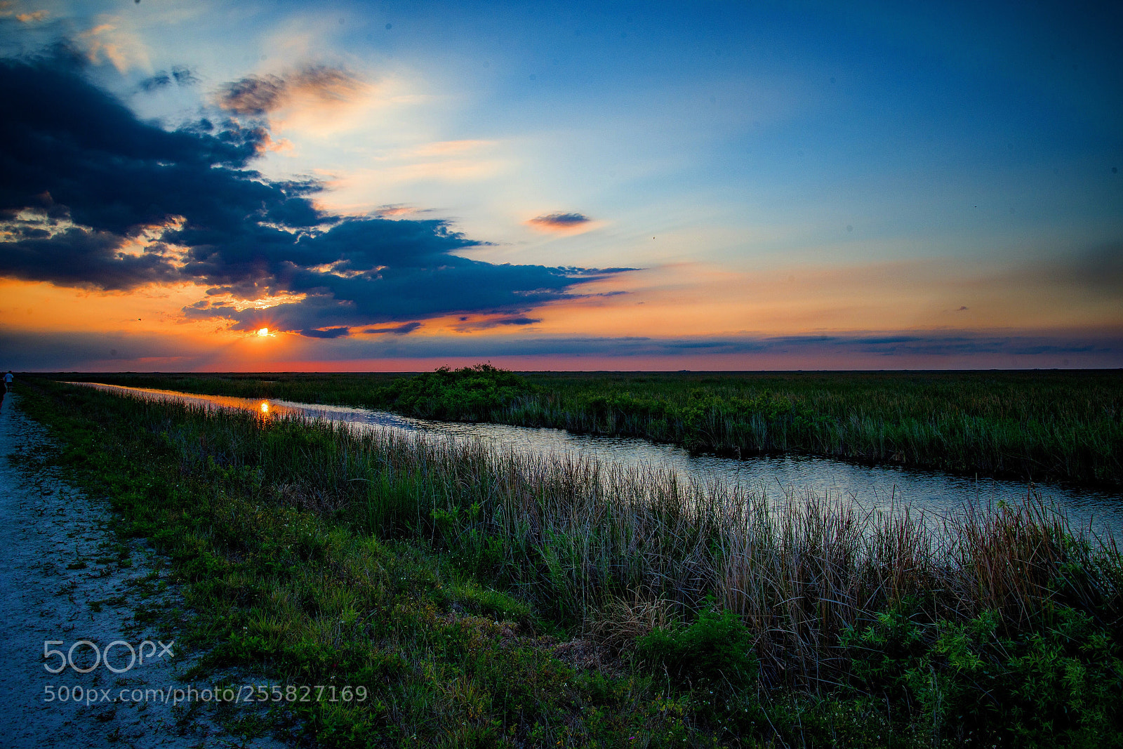Nikon D800E sample photo. Everglades sunset  photography