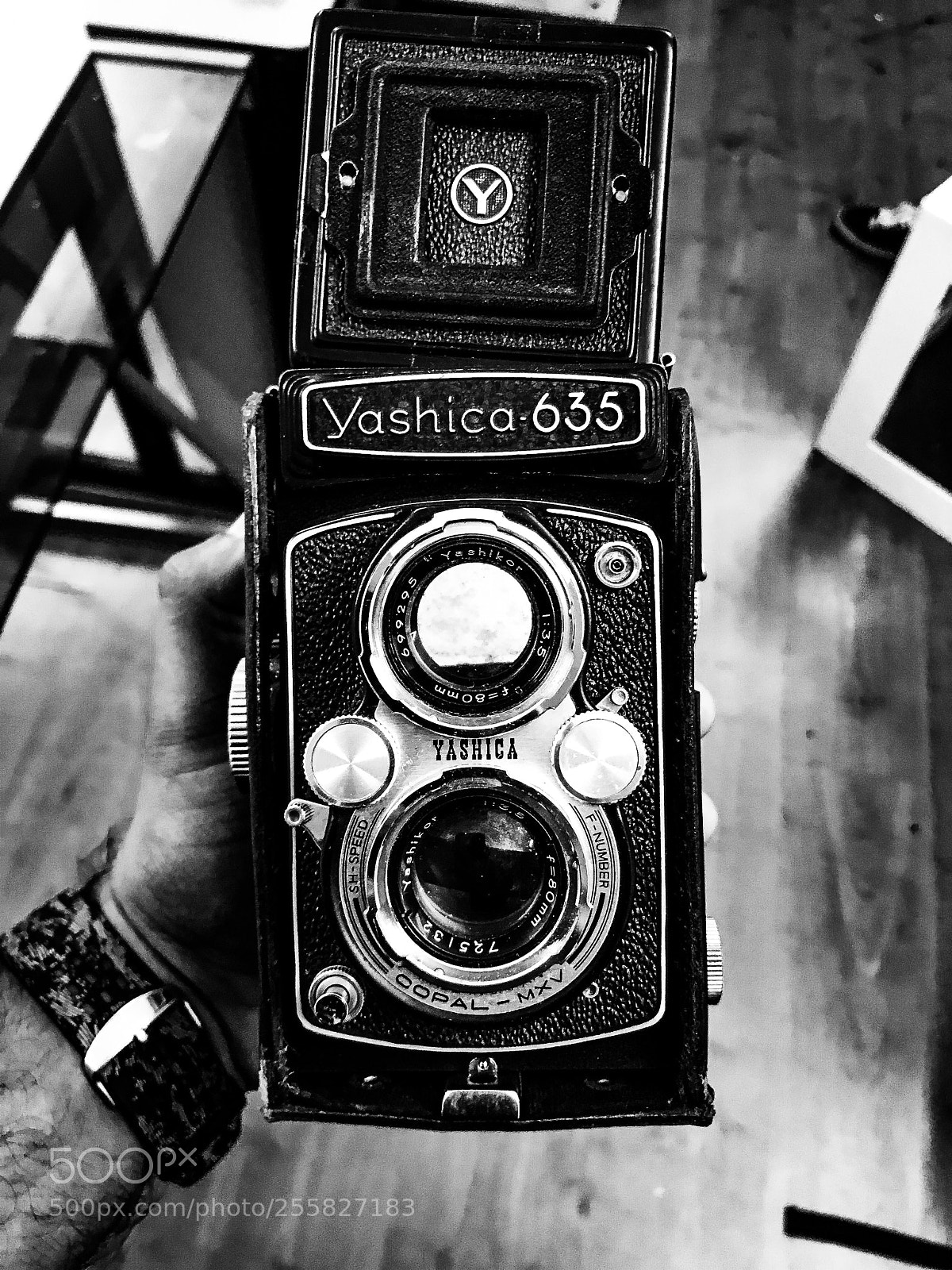 Apple iPhone 7 Plus sample photo. Yashica 635 photography