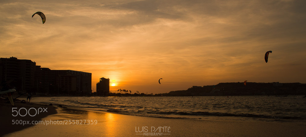 Nikon D3200 sample photo. My happy place photography