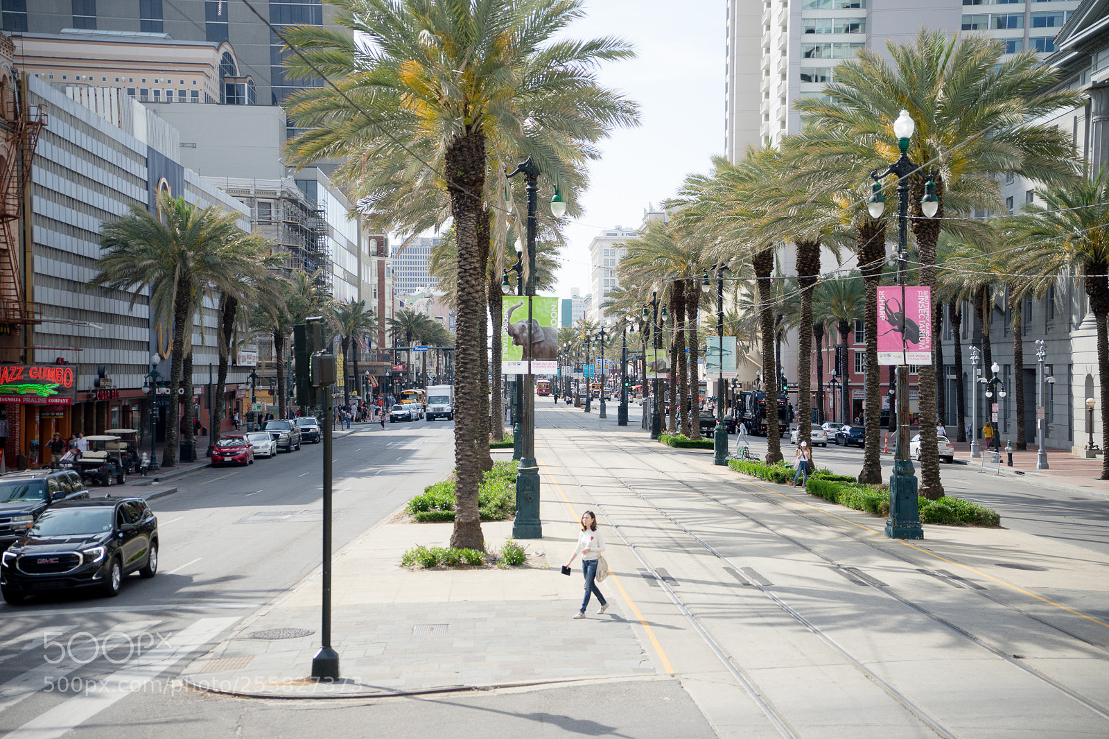 Sony a7 sample photo. Canal street photography