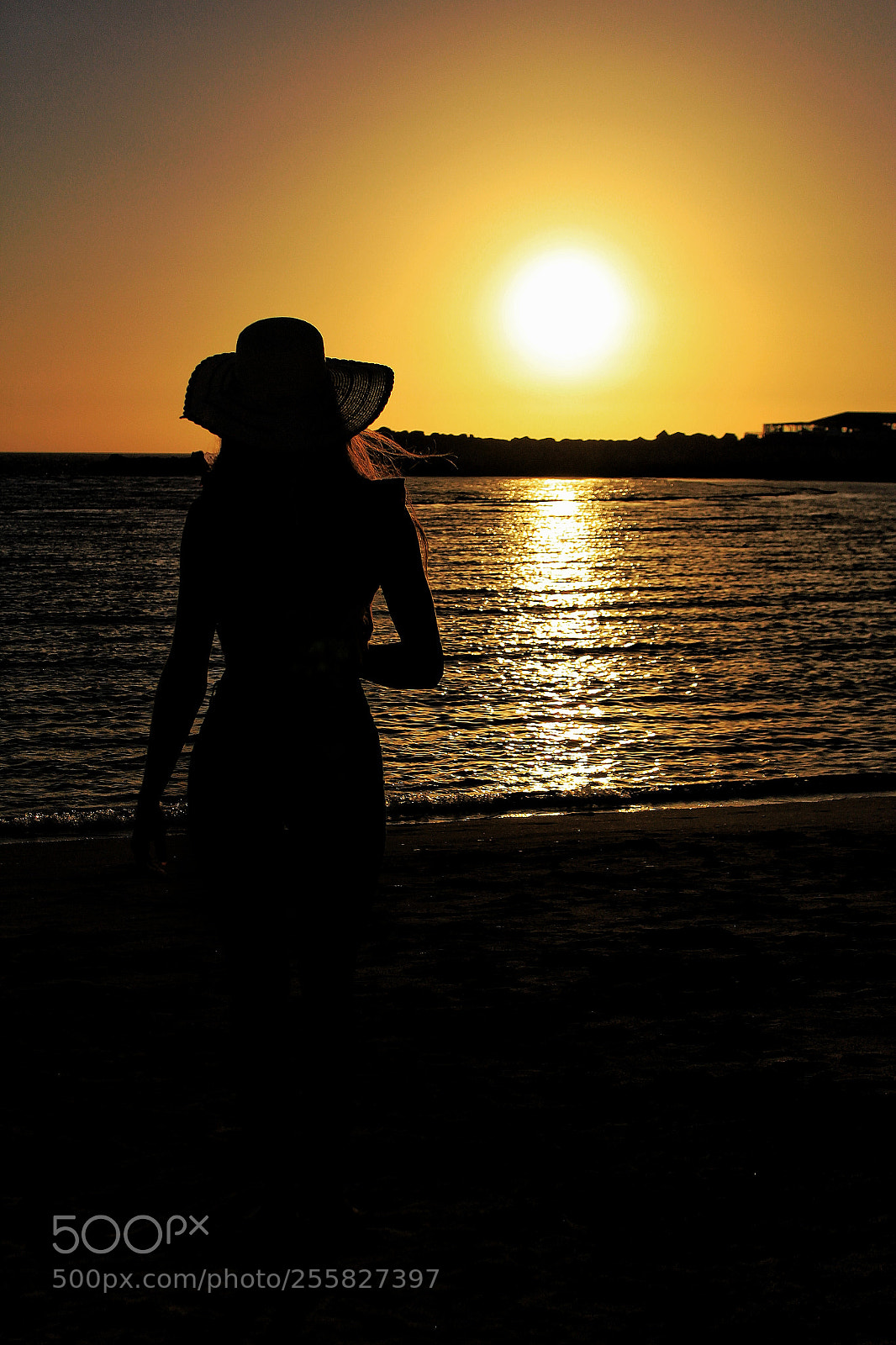 Canon EOS 1200D (EOS Rebel T5 / EOS Kiss X70 / EOS Hi) sample photo. Silhouette photography